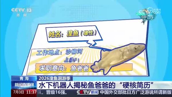【2026湟鱼洄游季】水下机器人揭秘鱼爸爸的“硬核简历”
