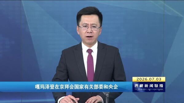 嘎玛泽登在京拜会国家有关部委和央企