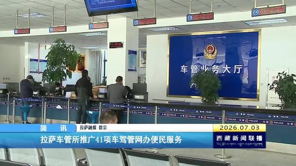 拉萨车管所推广41项车驾管网办便民服务