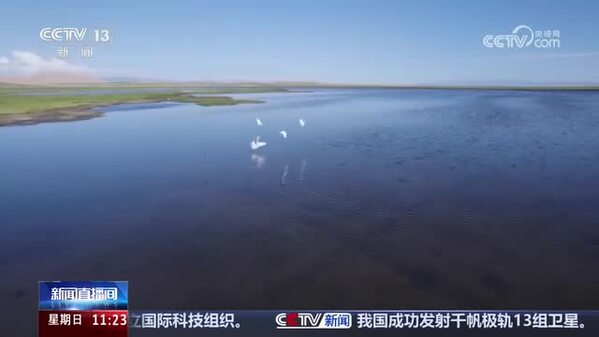 【2026湟鱼洄游季】记者探访：揭秘湟鱼“护卫队”的科技范儿