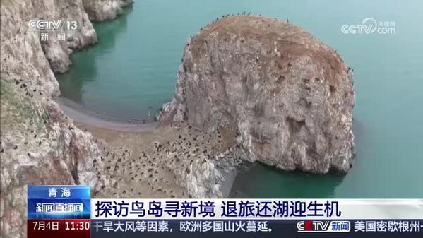 【2026湟鱼洄游季】探访鸟岛寻新境 退旅还湖迎生机
