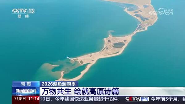 【2026湟鱼洄游季】万物共生 绘就高原诗篇