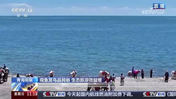 【2026湟鱼洄游季】观鱼赏鸟品民俗 生态旅游效益增