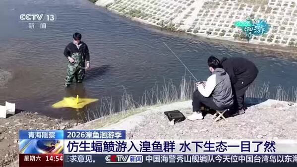 【2026湟鱼洄游季】湟鱼生活环境怎么样？仿生鱼水下来检验