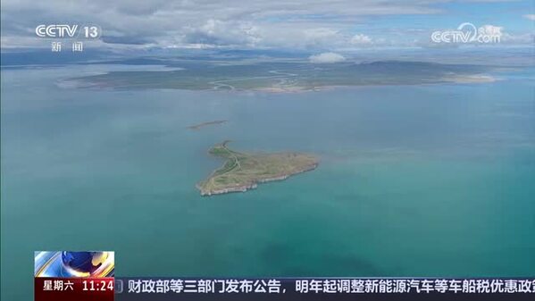【2026湟鱼洄游季】泉吉河湾迎洄游 半河清水半河鱼