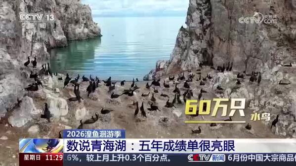 【2026湟鱼洄游季】数说青海湖：五年成绩单很亮眼