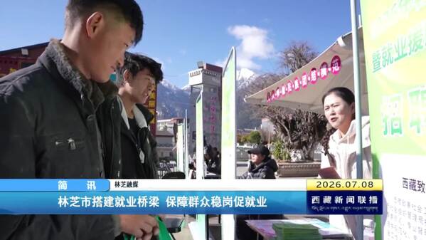 林芝市搭建就业桥梁 保障群众稳岗促就业