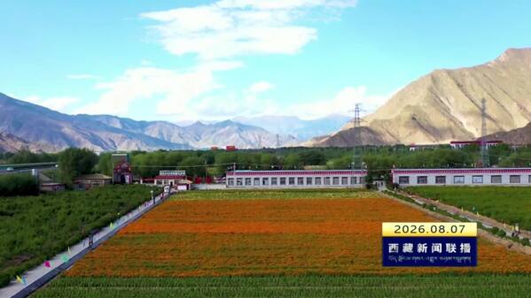 “光影拉萨”2026年拉萨优秀摄影摄像作品面向全国征集