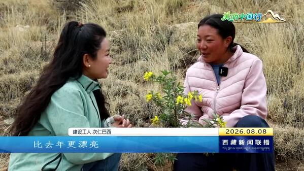 【美丽中国行】【奋进“十五五”·创建国家生态文明高地】南北山增色项目：兼具颜值与内涵的色彩美学