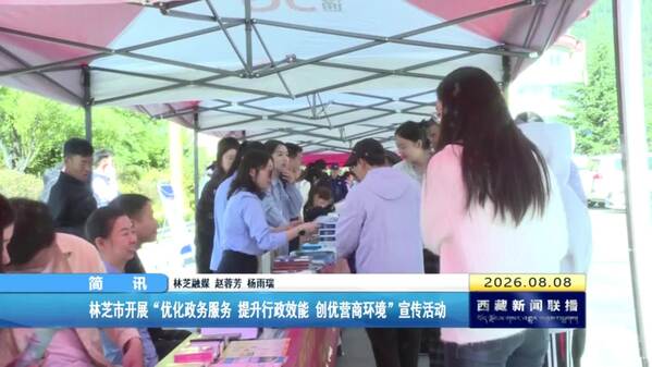 林芝市开展“优化政务服务 提升行政效能 创优营商环境”宣传活动
