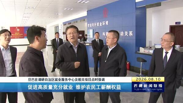 旦巴在调研自治区就业服务中心及相关项目点时强调 促进高质量充分就业 维护农民工薪酬权益