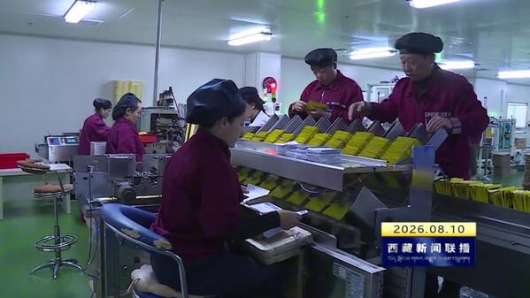 林芝市优化营商环境助力高质量发展