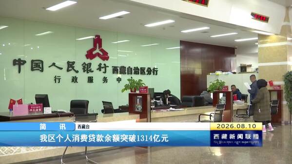 西藏自治区个人消费贷款余额突破1314亿元