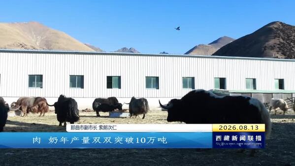 展示牦牛产业发展成就 共绘高原牧业新图景