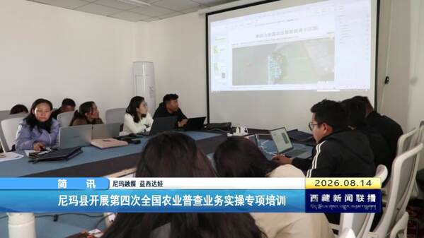 尼玛县开展第四次全国农业普查业务实操专项培训