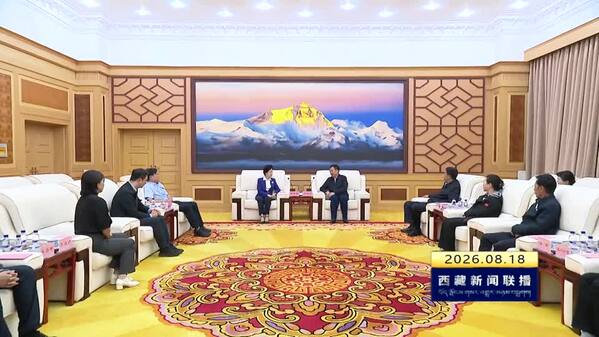 王君正与全国人大社会委副主任委员宋秀岩座谈