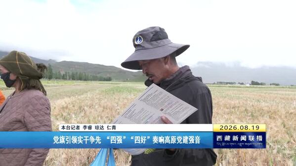 【新思想引领新征程】党旗引领实干争先 “四强”“四好”奏响高原党建强音
