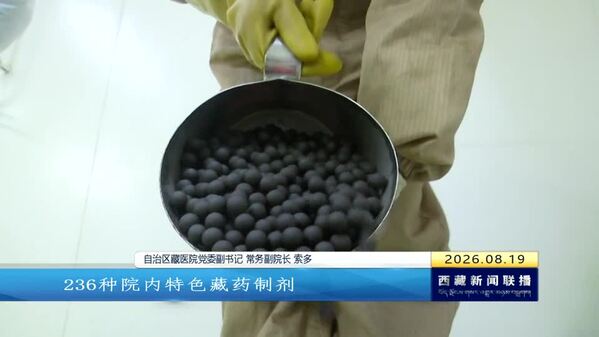 西藏自治区藏医院全面进入高质量发展新阶段