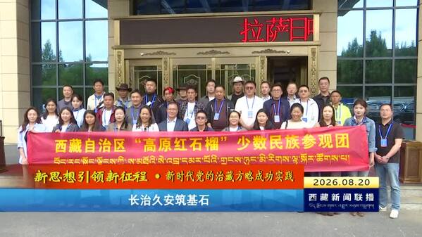 【新思想引领新征程·新时代党的治藏方略成功实践】 长治久安筑基石