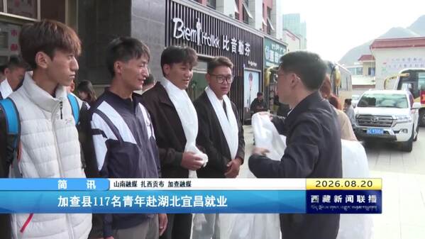 加查县117名青年赴湖北宜昌就业