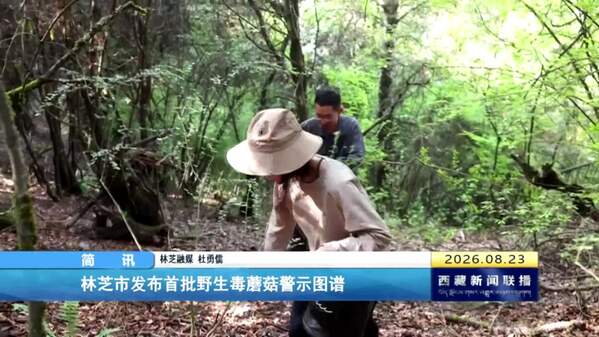 林芝市发布首批野生毒蘑菇警示图谱