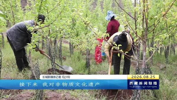 第六届藏博会主题采访团深入产业一线感受高原活力
