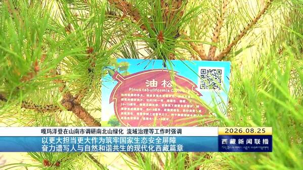 嘎玛泽登在山南市调研南北山绿化 流域治理等工作时强调 以更大担当更大作为筑牢国家生态安全屏障 奋力谱写人与自然和谐共生的现代化西藏篇章