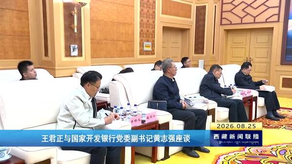 王君正与国家开发银行党委副书记黄志强座谈