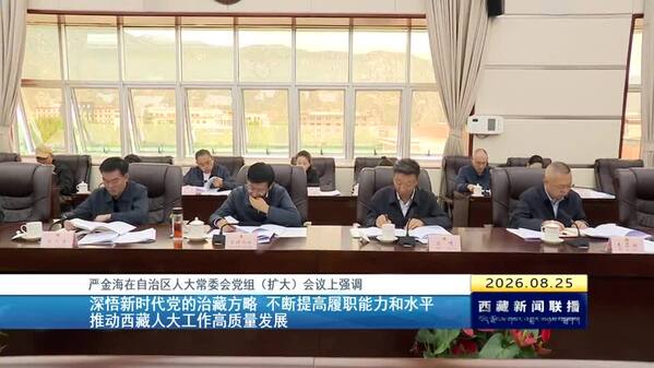 严金海在西藏自治区人大常委会党组（扩大）会议上强调 深悟新时代党的治藏方略 不断提高履职能力和水平 推动西藏人大工作高质量发展