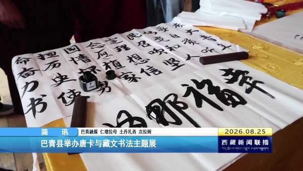 西藏巴青县举办唐卡与藏文书法主题展