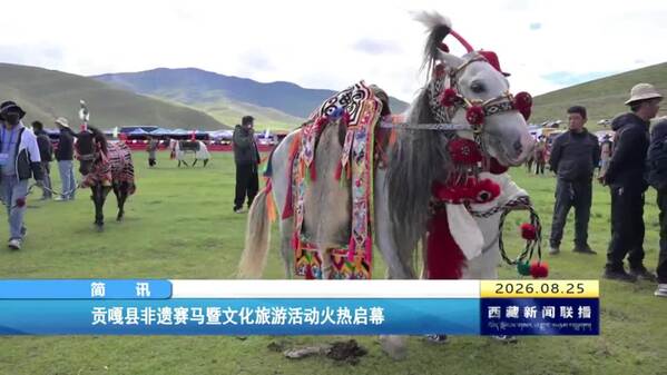 贡嘎县非遗赛马暨文化旅游活动启幕