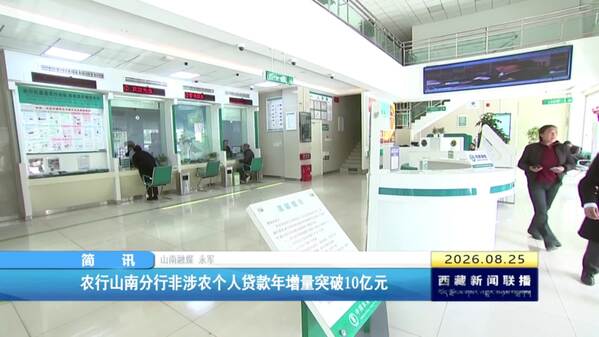 农行山南分行非涉农个人贷款年增量突破10亿元