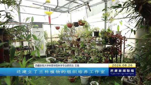 “一院一品”创新强特色 实践育新人