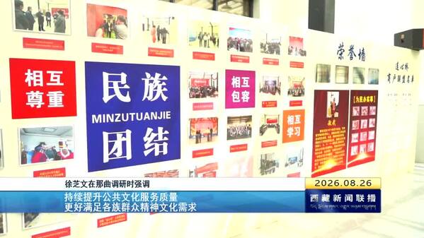 徐芝文在那曲调研时强调 持续提升公共文化服务质量 更好满足各族群众精神文化需求
