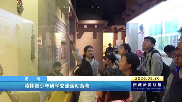莞林青少年研学交流活动落幕