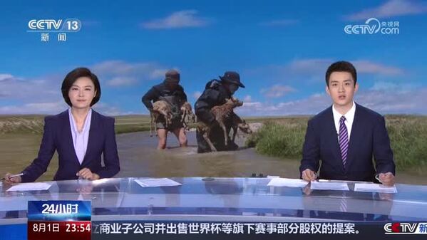 【守护藏羚羊的高原汉子】高原守生灵 平凡见初心