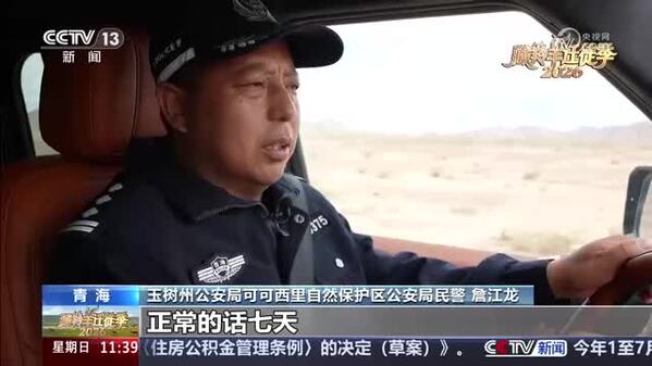 总台热播剧《生命树》背后的真实巡护故事