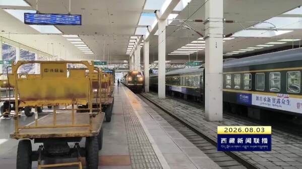 暑运启动以来高原铁路已发送旅客超二百万人次