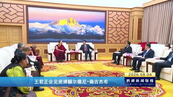 王君正会见班禅额尔德尼·确吉杰布