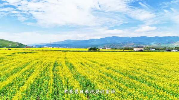 风吹原野，邂逅夏河鎏金浪漫