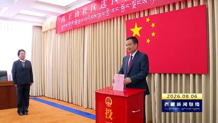 王君正参加拉萨市城关区人大代表换届选举投票