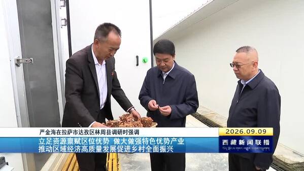 严金海在拉萨市达孜区林周县调研时强调 立足资源禀赋区位优势 做大做强特色优势产业 推动区域经济高质量发展促进乡村全面振兴