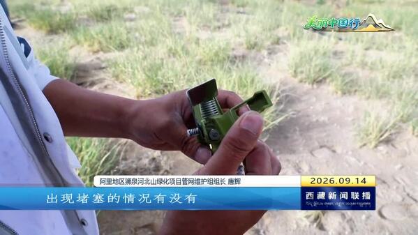 阿里地区狮泉河北山绿化项目扎实推进科学管护