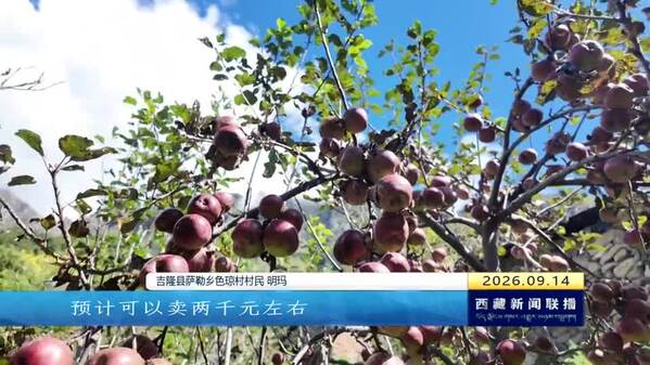 吉隆山谷炊烟袅袅 回迁群众耕耘希望