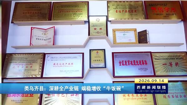 类乌齐县：深耕全产业链 端稳增收“牛饭碗”