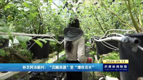 林芝阿沛新村：“沉睡资源”变“增收活水”