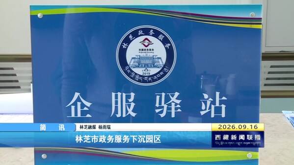 林芝市政务服务下沉园区