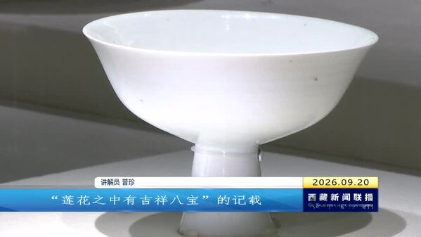 《千载瓷缘 同映山河——西藏瓷珍里的中华民族交往交流交融》专题展览开展