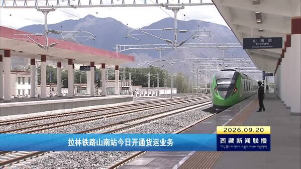 拉林铁路山南站开通货运业务
