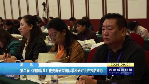 第二届《四部医典》暨曼唐研究国际学术研讨会在拉萨举办